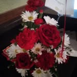 Beverly Baumgarten - @baumgartenbeverly - Instagram