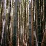 Hilke Stahl - @beverlybaumann496 - Instagram