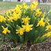 Beverly Baumann - Facebook