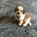 Beverly Baxter - Facebook