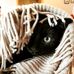 Bev Beach - Facebook
