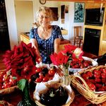Beverly Bean - @beverlybean43 - Instagram