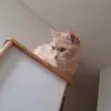 BeverlyBean - @rippiwmly8d - TikTok