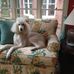 Beverly Beasley - Facebook