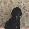 beverlybeasleymcc - @beverlybeasleymcc - TikTok