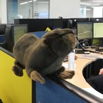 Beverly A. Beaver - @beverlybeaver0407 - Instagram