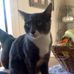 Beverly Becker - Facebook