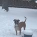 Beverly Becker - Facebook