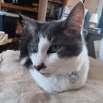 Beverly Sturges Becker - @beverlybecker1955 - Instagram