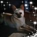 Beverly Beckwith - Facebook