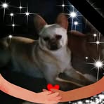 Beverly Beckwith - Facebook