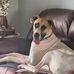 Beverly Beckwith-Button - Facebook