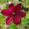Beverley Beiermann - @beverley.beierman - TikTok