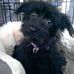 Beverly Beier - Facebook
