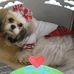 Beverly Benedict - Facebook