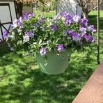 Beverly Benge - Facebook