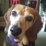 Beverly Bennington - @beverly.bennington.92 - Instagram