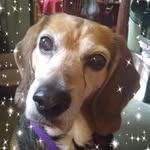 Beverly Bennington - @beverly.bennington.921 - Instagram