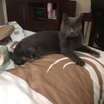 Beverly Bennington - Facebook