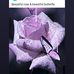 Beverly Bentley - Facebook