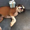 Beckett Bertsch - @bertsch07 - TikTok
