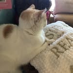 Beverly Berwald - @berwaldbeverly - Instagram