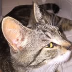 Beverly Berwald - Facebook