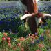 Beverly Best - Facebook