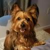 BeverlysBest - @beverlysbest - TikTok