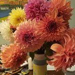 Beverly Bethune Lawson - @beezandblossums - Instagram
