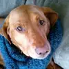 beverlybeyer1 - @beverlybeyer1 - TikTok
