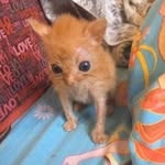 Beverly - @beverly_bianchi.ls - Instagram