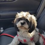 Beverly Birnbaum - @beverlybirnbaum3 - Instagram