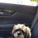 Beverly Birnbaum - Facebook
