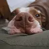 Beverly Black - @beverly.black4 - TikTok