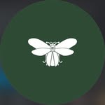 Beverly Bond Marketing - @beverlybondmarketing - Instagram