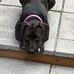 Beverley Bounds - Facebook