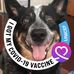 Beverly Bounds - Facebook