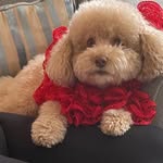 Beverly Bourland - @beverly.bourland - Instagram
