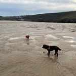 Beverley Bowden - @beverley.bowden.7 - Instagram
