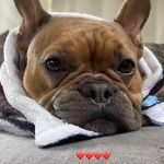 Beverly Bowden - @big_daddy_babz - Instagram