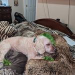 Beverly Bowie - @beverly.bowie.718 - Instagram