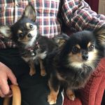 Beverly Bowie - @bowiebeverly - Instagram
