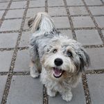 @beverlyhillsbowie - Instagram