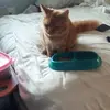 Beverly Bowling - @beverly.bowling - TikTok