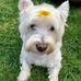 Beverley Boyce - Facebook