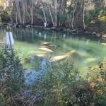 Beverly Boyette - @boyette5395 - Instagram