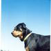 Beverly Boyles - Facebook