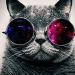 Beverly Bracken - @beverlybracken - Instagram