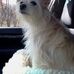 Beverly Bracken - Facebook